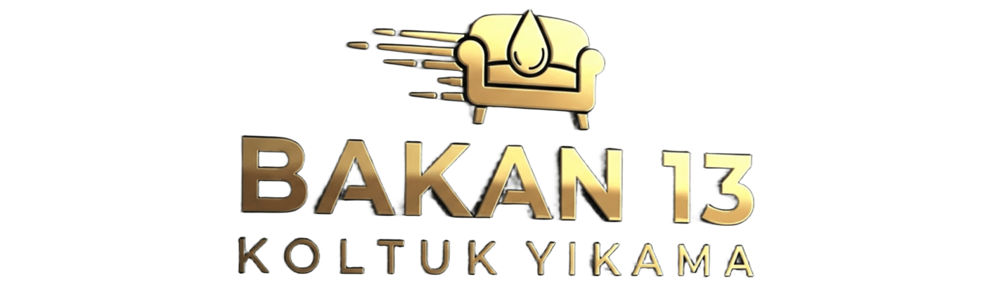 Bakan13 Koltuk Yıkama Logo
